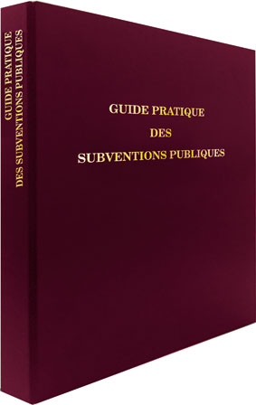 Guide pratique des subventions publiques pour les dirigeants de PME