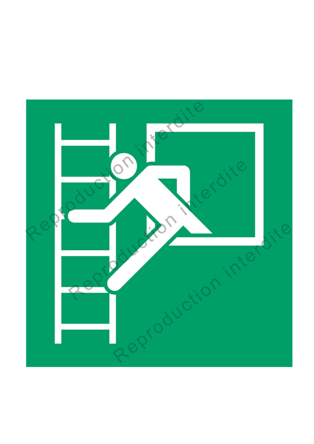 Fenêtre de secours avec échelle de secours