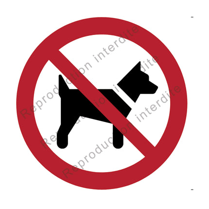 Interdit aux chiens