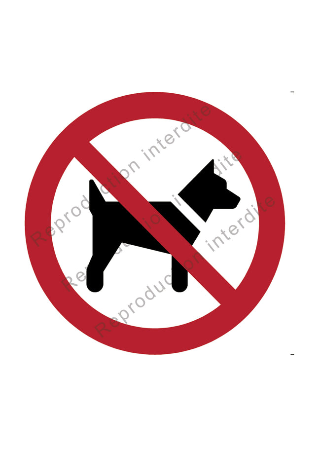 Interdit aux chiens